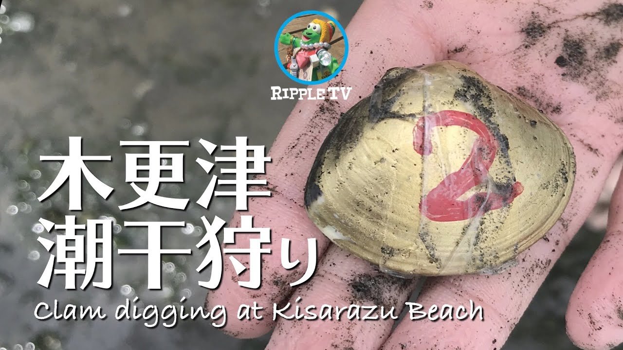 🌊 나카노시마 공원 (나카노시마 코엔) 이미지 4